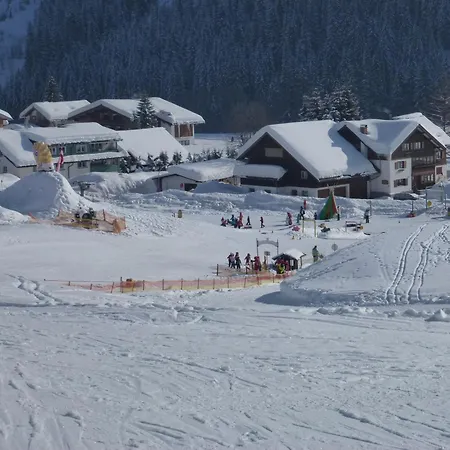 Haus Alpenecho 招待所