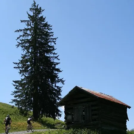 Haus Alpenecho 招待所 4*